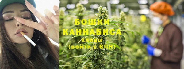 spice Бикин