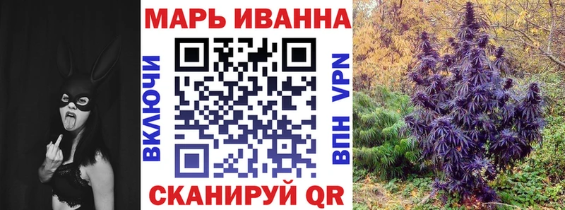 Бошки марихуана VHQ  наркотики  Вытегра 